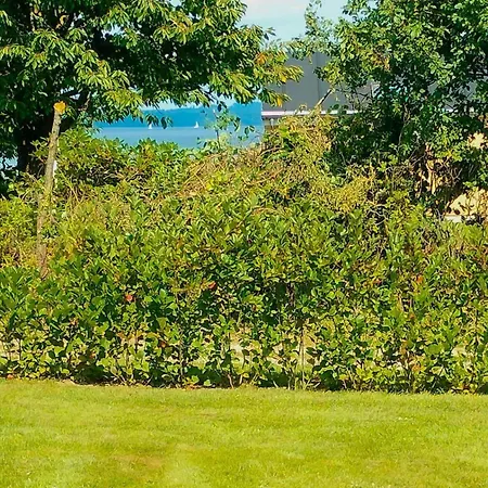 8424-knebel-rastestedet-46 Semesterbostad *