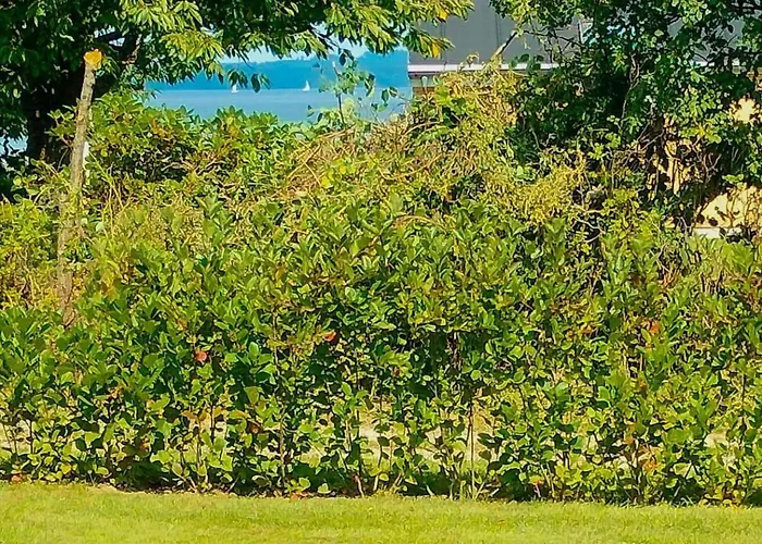 8424-knebel-rastestedet-46 別荘 *